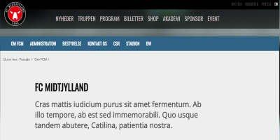 BjarkeMTs skoleprojekt FC Midtjylland. Et billede af BjarkeMTs webside for FC Midtjylland