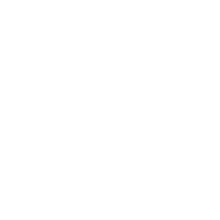 BjarkeMTs Logo Logoet for BjarkeMT